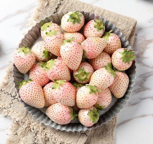 欧美黑料 第5页